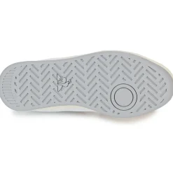 Le Coq Sportif - ASHE TEAM