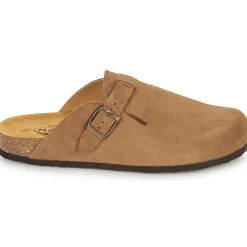 Plakton - BLOG AFELPADO