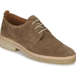 Schmoove - LIAM DERBY